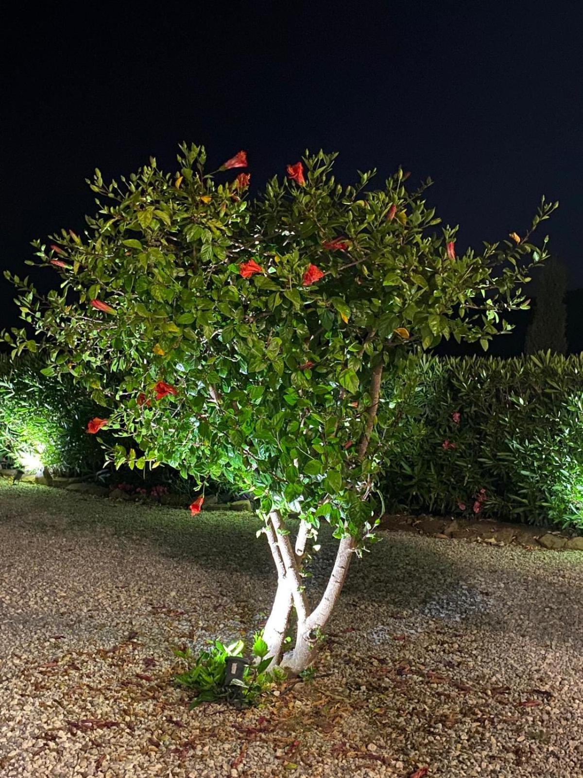 Finca Angelita تورّوكس كوستا المظهر الخارجي الصورة