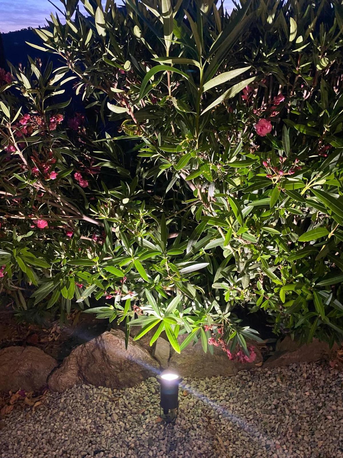 Finca Angelita تورّوكس كوستا المظهر الخارجي الصورة